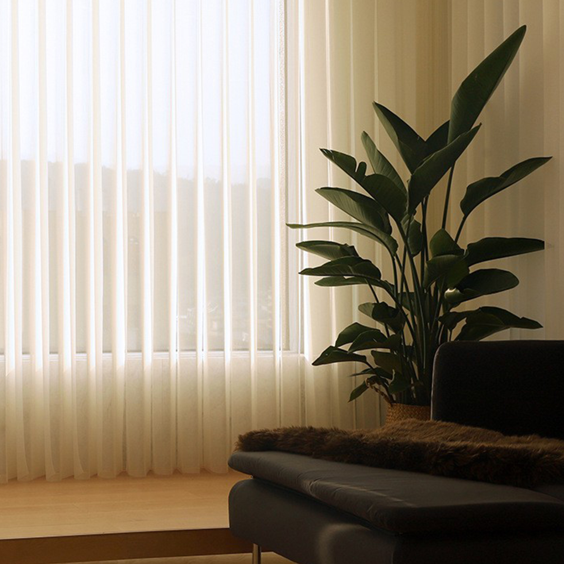 dream blinds fabric